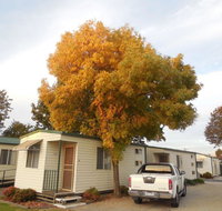 Wodonga Caravan  Cabin Park - Accommodation Whitsundays