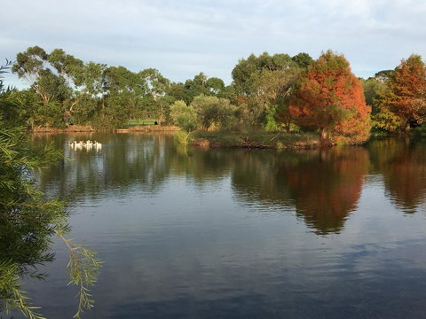 Wonderland Hobby Farm - Accommodation Whitsundays 2