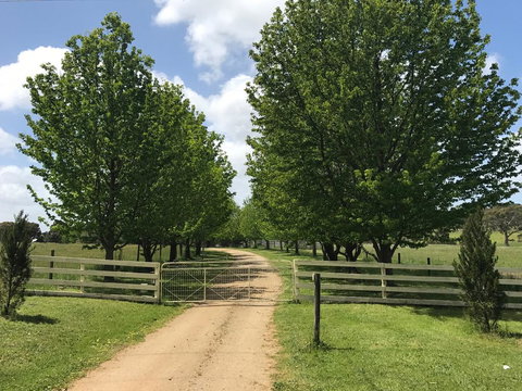 Wonderland Hobby Farm - Accommodation Whitsundays 1
