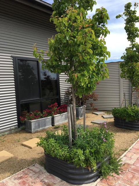 Woolamai Dreaming - Accommodation Whitsundays 2