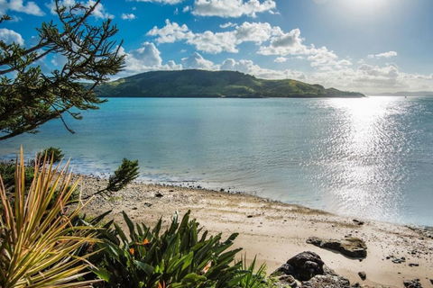 Yacht Club 19 Villa Bijou De Mer Ocean Front Private Pool 2 Buggies - Accommodation Whitsundays 1