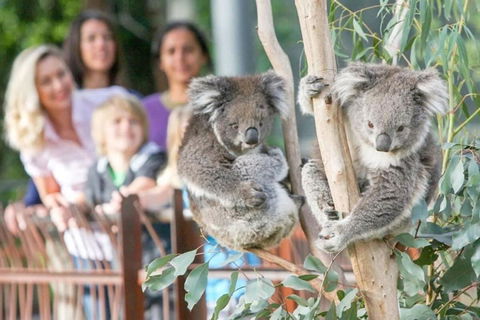 A 3BR Apt Next To Melbourne Zoo FREE Parking - Accommodation Whitsundays 2