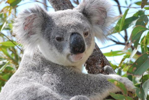 AFFORDABLE ISLAND ESCAPE! Queen Studio, Nelly Bay - Accommodation Whitsundays 2