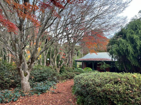 Amaroo Guesthouse - Accommodation Whitsundays 1