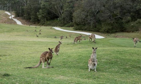 Anglesea River Apartment 22 - Accommodation Whitsundays 4