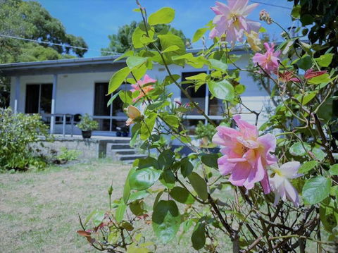 Apollo Bay Holiday House - Accommodation Whitsundays 1