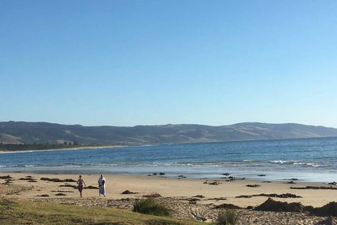 Apollo Blue Oceanview Unit 1- B Free WIFI - Accommodation Whitsundays 0