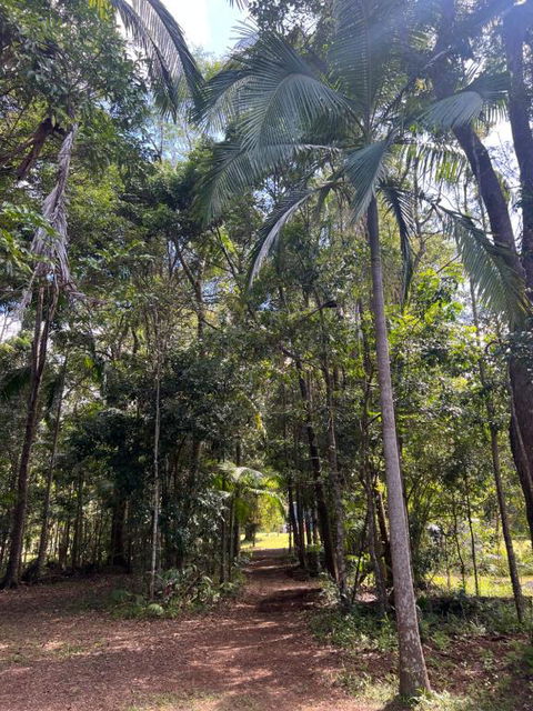 Avana Byron Apartment - Accommodation Whitsundays 4