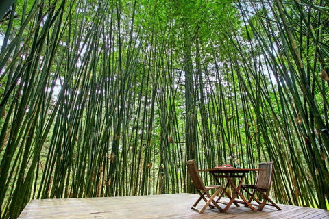 Azabu Retreat & Spa - Accommodation Whitsundays 1