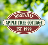 Apple Tree Cottage and Studio - Accommodation Whitsundays