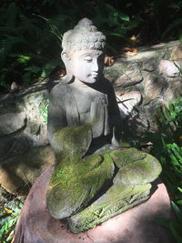 Book Coolum Accommodation Vacations Accommodation Whitsundays Accommodation Whitsundays