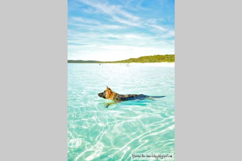 24 Hyam Road Hyams Beach - Accommodation Whitsundays 1