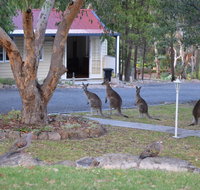 31 The Rocks - Accommodation Whitsundays