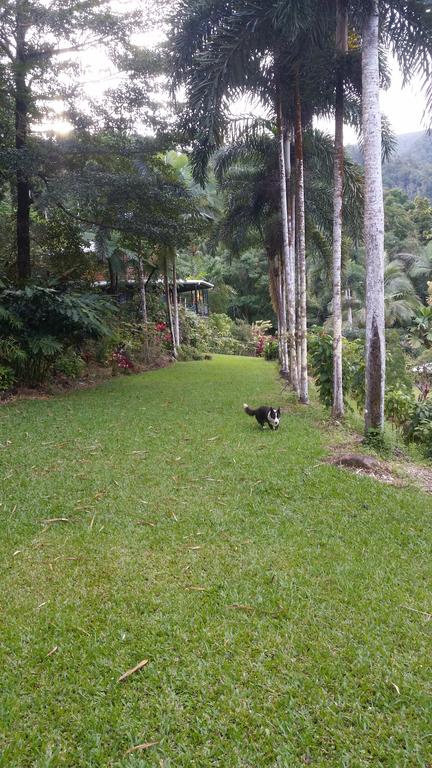 A Daintree Garden - Accommodation Whitsundays 1