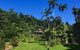 A Daintree Garden - thumb 0