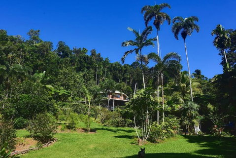 A Daintree Garden - Accommodation Whitsundays 0
