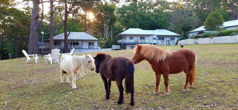 Aaronlee Retreat - Accommodation Whitsundays 2