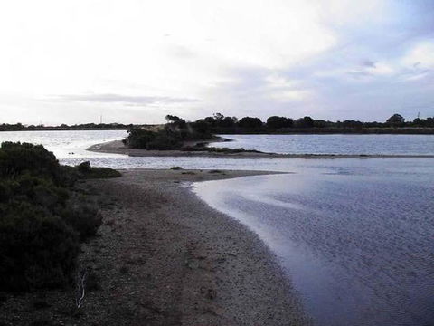 Absolute Waterfront - Accommodation Whitsundays 1