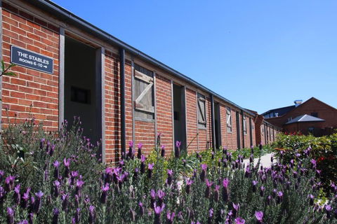 Dusty Hill Vineyard - Moffatdale - Accommodation Whitsundays 0