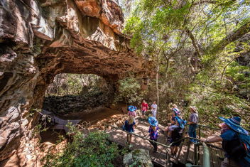 Discovery Resorts - Undara with Accommodation Whitsundays