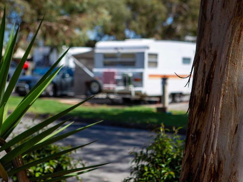 Echo Holiday Parks - Windsor Gardens - Accommodation Whitsundays 4