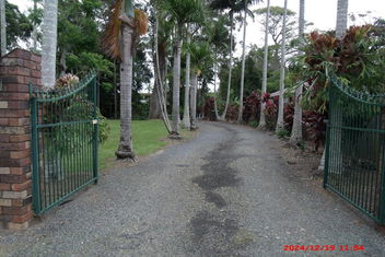 Emerald Tropical Palms B & B with Accommodation Whitsundays