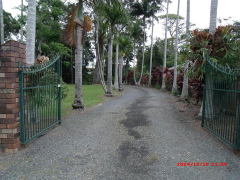 Emerald Tropical Palms B & B - Accommodation Whitsundays 0