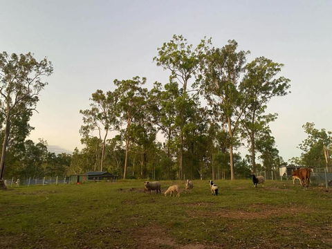 Gemmas Animal Farm By Tiny Away - Accommodation Whitsundays 1