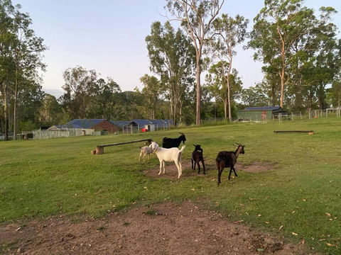 Gemmas Animal Farm By Tiny Away - Accommodation Whitsundays 2