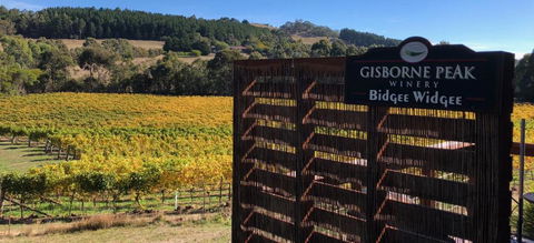 Gisborne Peak Winery Short Term Stays - Accommodation Whitsundays 0
