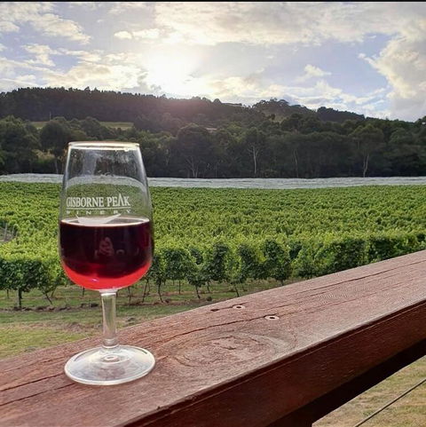 Gisborne Peak Winery Short Term Stays - Accommodation Whitsundays 3