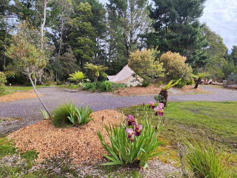 Glamping At Zeehan Bush Camp - Accommodation Whitsundays 1