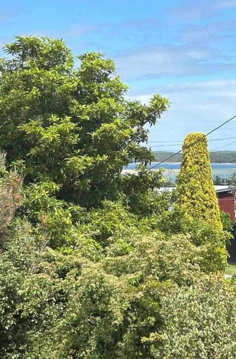 Iconic Beach House On Bruce - Accommodation Whitsundays 1