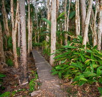 Agnes Palms Accommodation - Accommodation Whitsundays