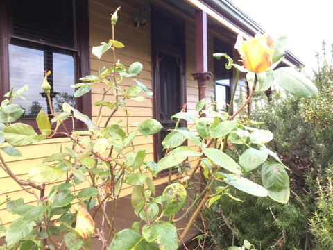 Albion Cottage - Accommodation Whitsundays 0