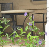 Amalie Cottage Waikerie