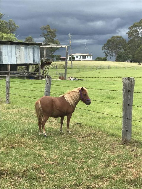 AMs Farm Stay - Accommodation Whitsundays 0
