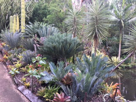 Ancient Gardens Guesthouse & Botanical Gardens - Accommodation Whitsundays 2