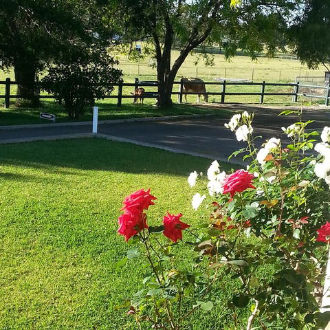 Appin Homestay B & B - Accommodation Whitsundays 3