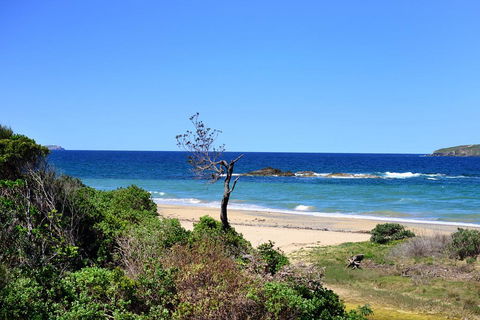 Aqualuna Beach Resort - Unit 25 - Accommodation Whitsundays 3
