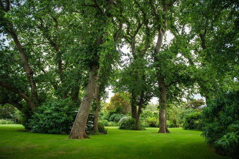 Mallavale Farm, Boat Harbour - Accommodation Whitsundays 2