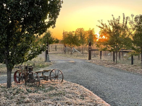 Maple Lane Farm Stay - Accommodation Whitsundays 0