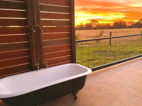 Maple Lane Farm Stay - Accommodation Whitsundays 2