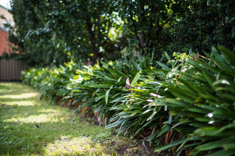Merivale Motel - Accommodation Whitsundays 2