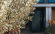Mews Cottages - thumb 2