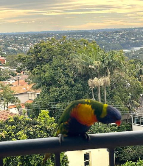 Mosman Views, 2bed, Parking, 15min Walk To Beach - Accommodation Whitsundays 1