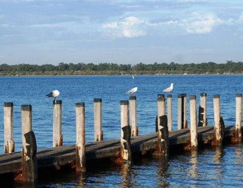 Nature Lovers Dream In Dawesville - Accommodation Whitsundays 0