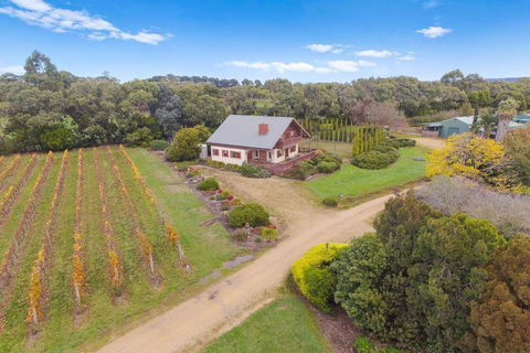 Northway Downs Estate Vineyard - Accommodation Whitsundays 3