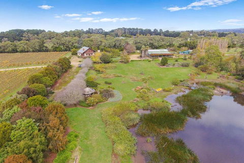 Northway Downs Estate Vineyard - Accommodation Whitsundays 2