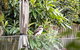 Quaint Queen Room - Central Location At Pymble - Shared Bathroom - thumb 1